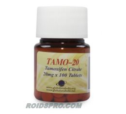 Tamo-20 for sale | Tamoxifen Citrate 20 mg x 100 tablets | Global Anabolics